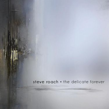 Steve Roach - Delicate Forever