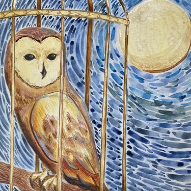 Pushers - Caged Owl