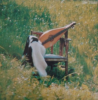 Lily - Dulcimer