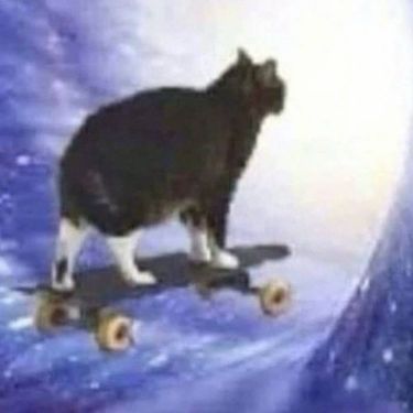 スケートボードに乗った猫 - 未知へのゲートウェイ