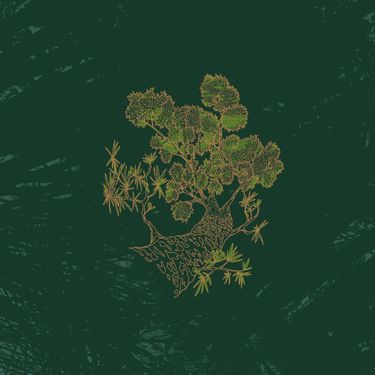 Pine Barons - Sputter