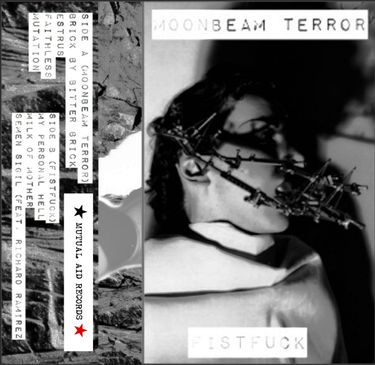 Moonbeam Terror & Fistfuck - Split
