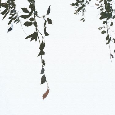 Rhucle - 霧が晴れたら