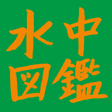 水中図鑑 - ふれるところ、ささるとげ