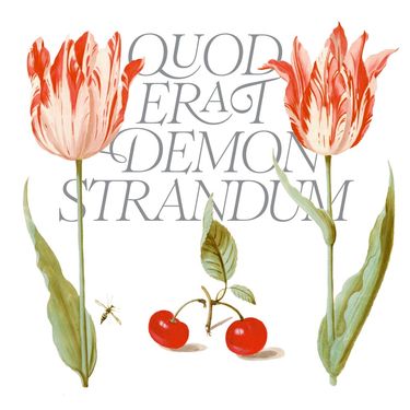 Fromm - Q.E.D