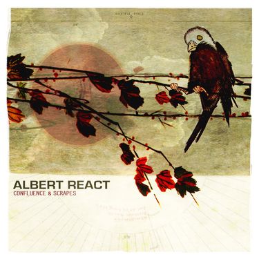 Albert React - Confluence & Scrapes