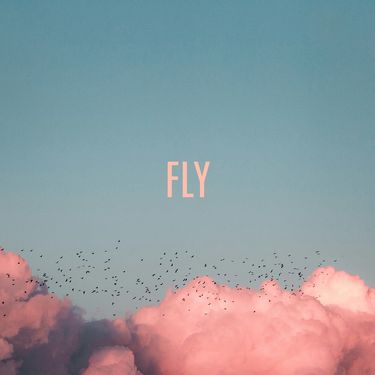 杏里 [Anri] - Fly