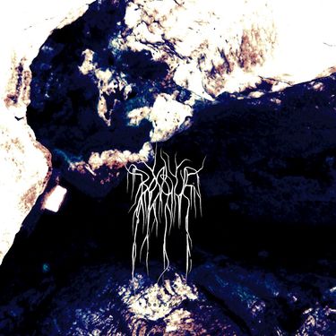 Bosque - Beyond