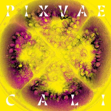 Pixvae - Cali