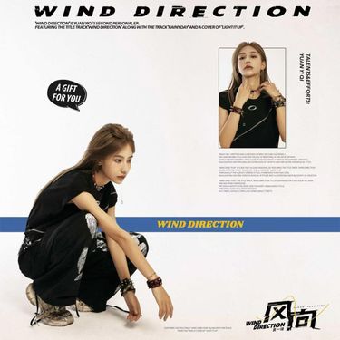 袁一琦 - 风向