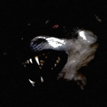 Knell - 4