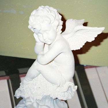 Celer - Vamps
