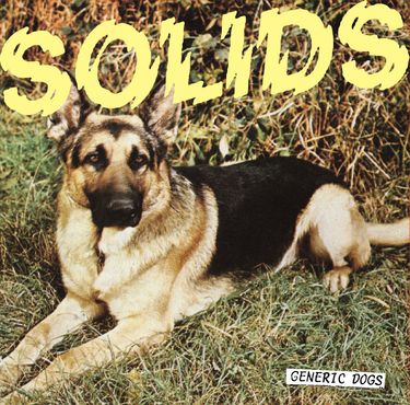 Solids - Generic Dogs