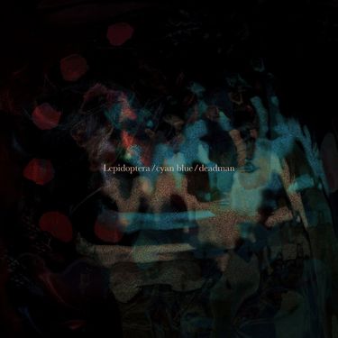 Deadman - 鱗翅目はシアンブルー