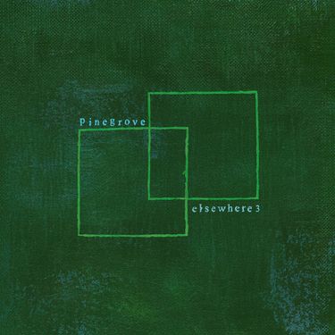Pinegrove - Elsewhere 3