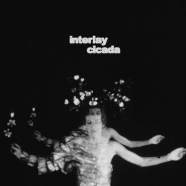 Interlay - Cicada