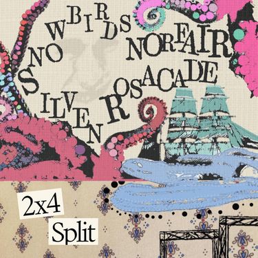 rosacade, Silven, Norfair & Snowbirds - 2x4 Split