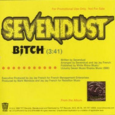 Sevendust - Bitch