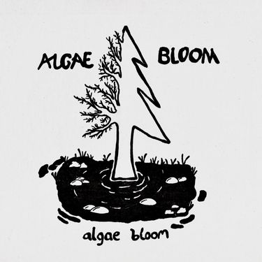 Algae Bloom - Algae Bloom