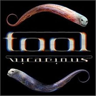 TOOL - Vicarious