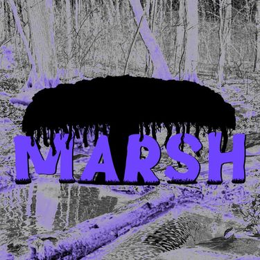 xono - marsh