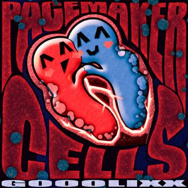 Gooolixx - Pacemaker Cells