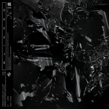 SY/N - Blinded