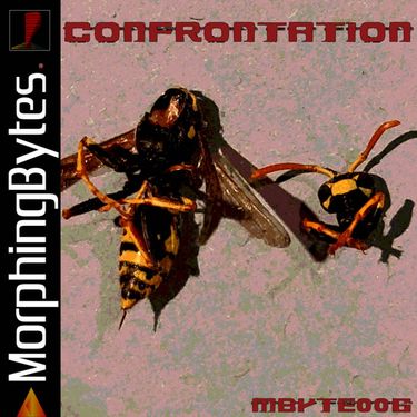 Morphing Bytes - Confrontation
