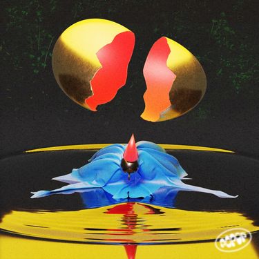 Patche - Document