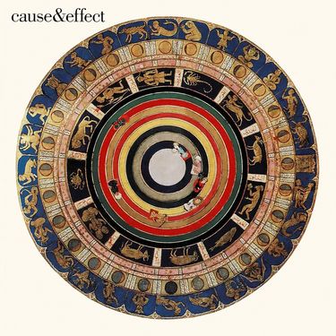 Cause & Effect - Trip