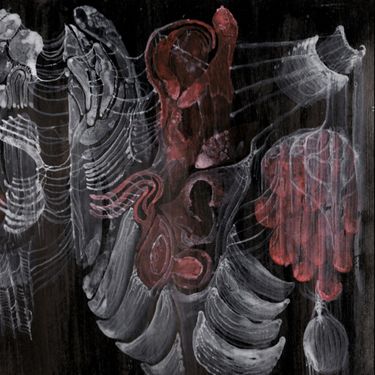 Strigiform - Aconite