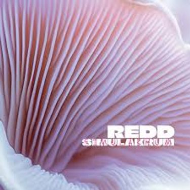 Grup Redd - Simulakrum