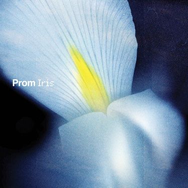 Prom - Iris