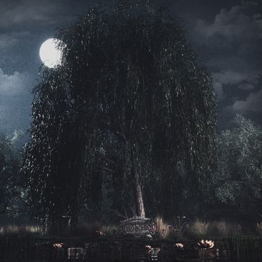 BONES - UnderTheWillowTree
