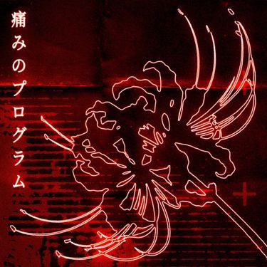 pain.program - NULL.