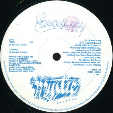 The Experience - Tubes