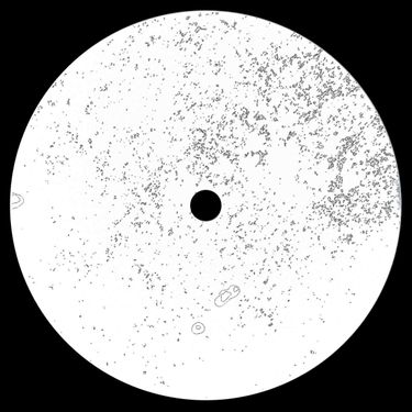 Point Source - Remanence