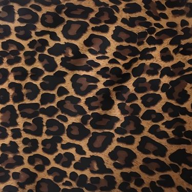 stacculaa - Leopard