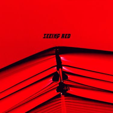 JoeB - SEEING RED