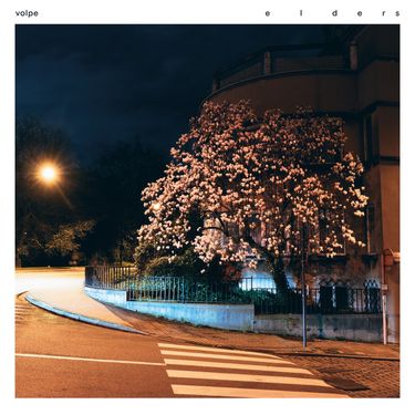 Volpe - elders