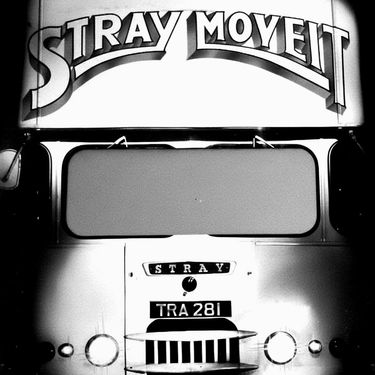 Stray - Move It