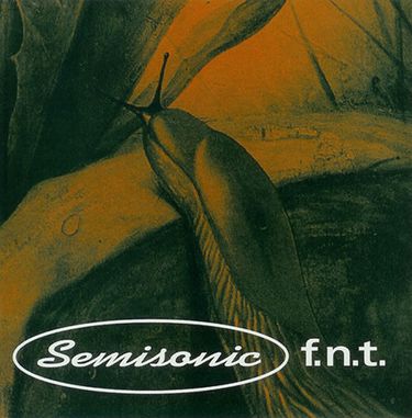 Semisonic - F.N.T.