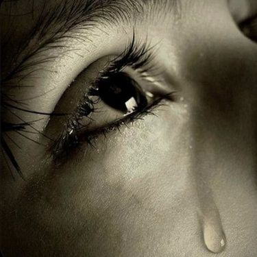 rexv2 - cry