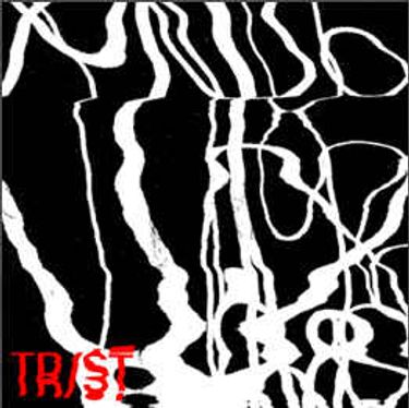 TR/ST - Destroyer