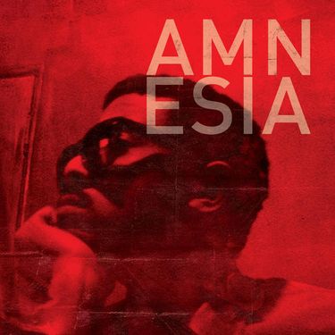 Blu - Amnesia