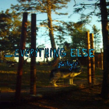 Baileyrp - _Everything Else