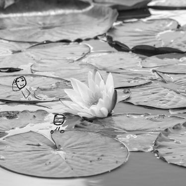 PatchVessel & Spark of Infinity - Lilypads