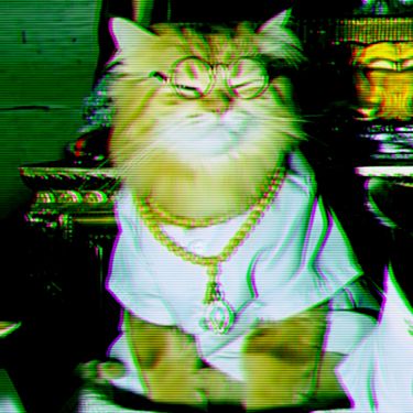 悲しみの人 - Buddha Cat