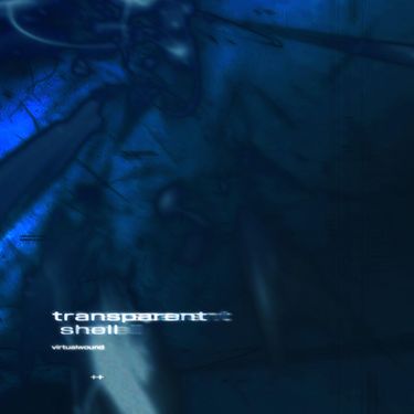 virtualwound - TRANSPARENT SHELL