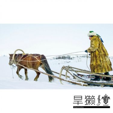 旱獭乐队 - "旱獭 (Marmota)"